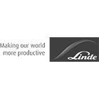 Image module