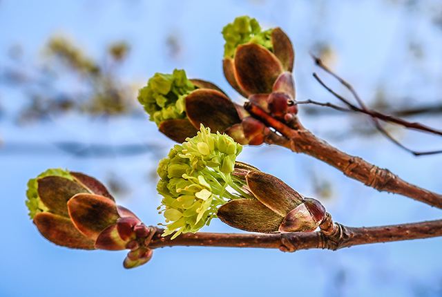 Spring awakening – TRICAD MS 2023.0 is out